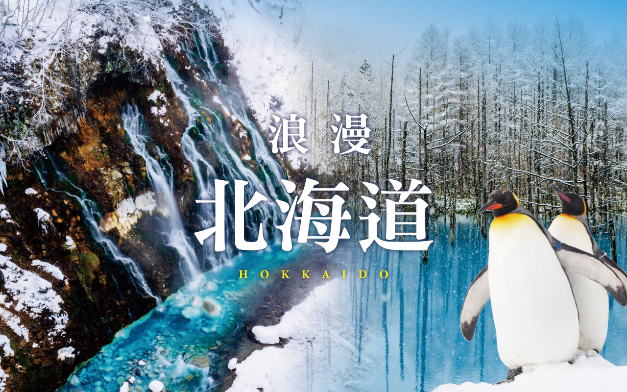 促銷北海道５日